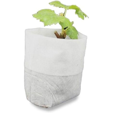 500 Pcs Sacs à Plantes Non tissé, Sacs Biodégradables Tissu Non Tissé pour Plantes Semis Sacs de Croissance d'élevage pour Les Tomates, Les Fleurs, Les Plantes et Plus - Blanc - 8 × 10 cm (1/3)
