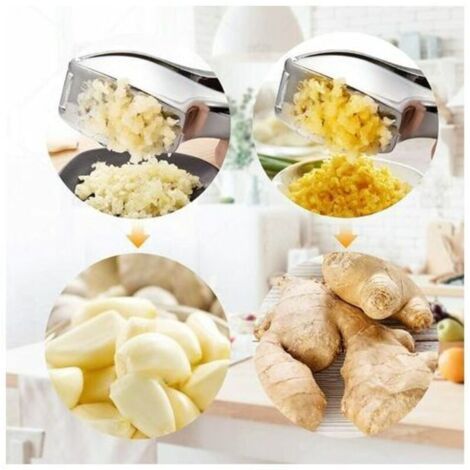 Presse Ail Professionnel Garlic Press Pratique Solide- Nettoyage Facile pour la Cuisine (1/3)