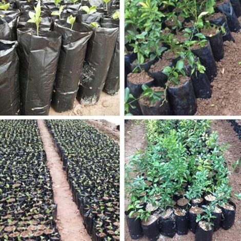 100pcs Sacs de Pépinière en Plastique épaissi pour Plantes Sacs de Plantation de Semis de Fruits Et de Fleurs, Sacs de Culture de Plantes en Jardin avec Trous Respirants，812cm (1/3)