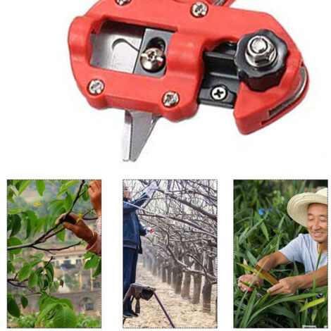 Sécateur Outils de jardin semis élagage arbre fruitier greffage sac tissu noir + élastique + membrane (1/3)