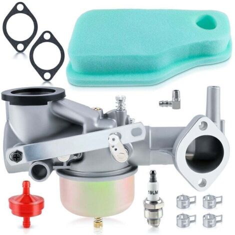 Carburateur 491590 pour moteur B&S 491590 390811 392152 série 190702 191707 191700 192700 193700 avec joint et outils de nettoyage (1/4)