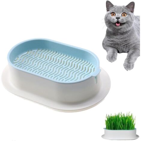 Jardinière d'herbe à Chat, Planteur d'herbe à Chat, Jardinière d'herbe à Chat sans Sol, Boîte d'herbe à Chat Hydroponique, Jardinière Herbe à Chat pour l'intérieur et l'extérieur
