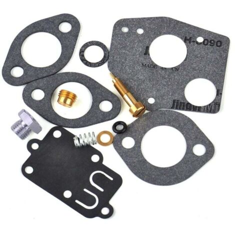 Kit de réparation de carburateur compatible avec Briggs & Stratton 494624 495606. (1/4)