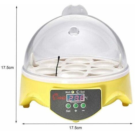 Mini Incubateur Automatique D'Œufs Pour Poules – Couveuse Compacte Avec Contrôle Température & Humidité, Idéal Maison & Enfants
