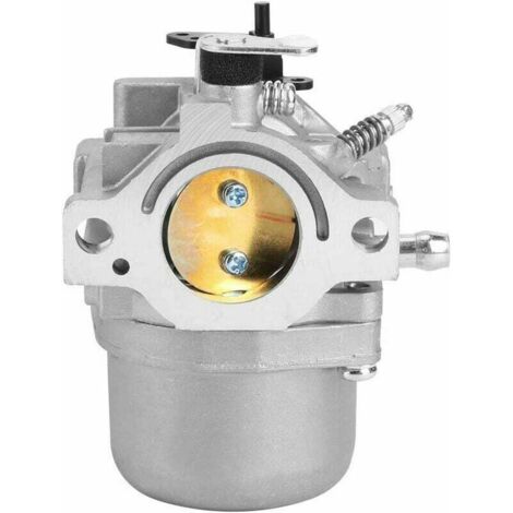 Accessoires de Jardin de Remplacement de carburateur adaptés pour Briggs Stratton 799728 498027 12 HP 12.5 HP (1/5)