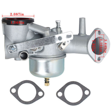 Carburateur pour 491026 Briggs&Stratton 491031 490499 281707 12HP (1/4)