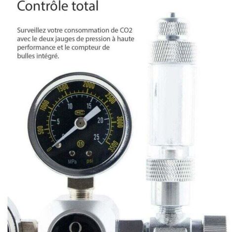 Entrée W21.8 - Régulateur De Co2 À Double Jauge, Pour Brassage À Entrée W21.8 - Régulateur De Co2 À Double Jauge, Pour Brassage À