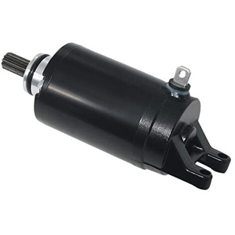 Moteur de Démarreur Triumph Tiger 800 & 675 - Pièces de Rechange T1311112, T1314455, T1310060 - Compatible avec les Moteurs Triple 800cc et 675cc