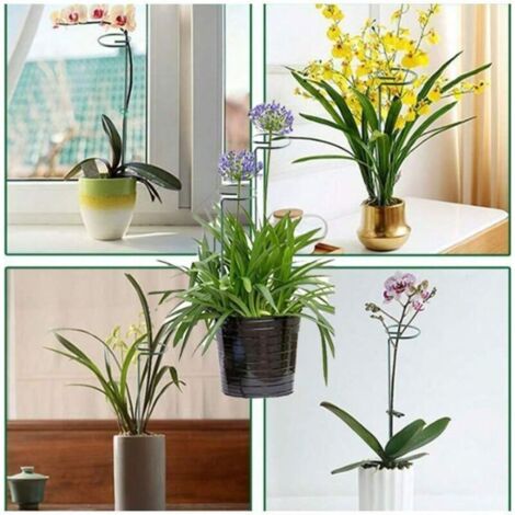 Ensemble de 6 supports pour plantes en fer, structure de jardin surélevée, support pour plantes grimpantes en pot, outils de jardinage essentiels pour l'intérieur et l'extérieur (25 cm) (1/3)