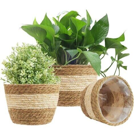 3Pcs Panier De Jardinière en Jonc De Mer, 3 Taille Pot De Plante Tissé Couverture De Pots De Fleurs Panier De Rangement Conteneurs De Plantes pour La Décoration Intérieure (Beige)dengyank