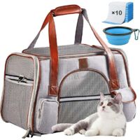 Cage de transport pliable pour chat et chien Sac de transport respirant Sac de transport pour chat chien Sac de transport pour chat dans la voiture avec matelas à langer et gamelle