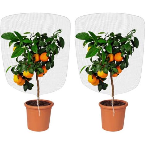 4PCS Filet Anti Insecte, Filet de Jardin Anti-Insectesavec Cordon de Serrage Maille Fine pour Protéger Les Plantes en Pot pour Protection Fruitiers Arbre (0,7 1m) (1/5)