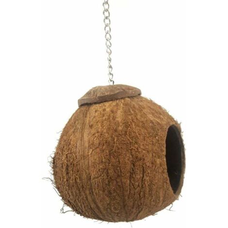 CVUTOVO Nid Coquille De Noix Avec Perchoir Bois Pour Oiseaux Cachette
