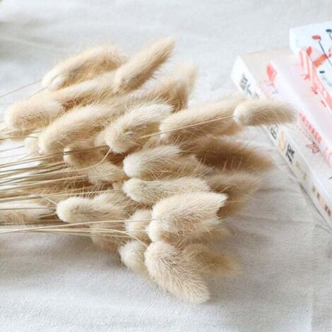 Natural Dried ovatus 90 Pcs, Dried Bunny Tails Pampas for Flower Arrangements Wedding Home Decor (1/5)
