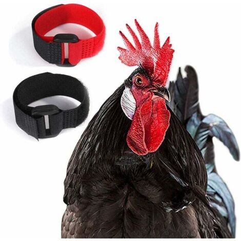 Collier de poulet collier de coq anti-crochet collier de coq réglable Empêcher les poulets de crier déranger les voisins collier de poulet 2pcs (1/5)