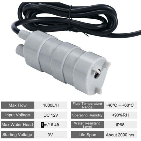 Baceyong Pompe à Eau 12V Submersible Haut Débit 10 L/min Pour Camping-Car Caravane RV