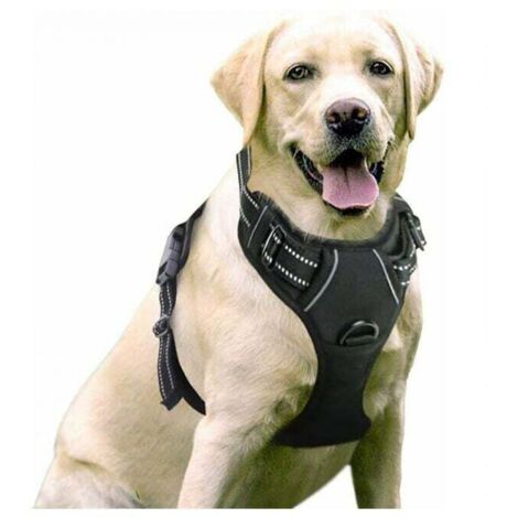 rnais Chien Anti Traction, pour Chien Facile à Mettre Harnais Réfléchissant Réglable avec Attache Devant Harnais pour Chien Moyen, Large, Couleur Noir-Ensoleillé (1/5)