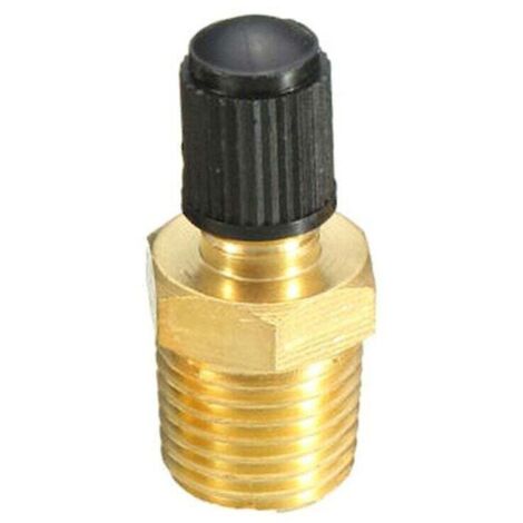 1/4" Npt Tank Valve Anti-corrosion Brass Schrader Valve With 1/4" Male Npt