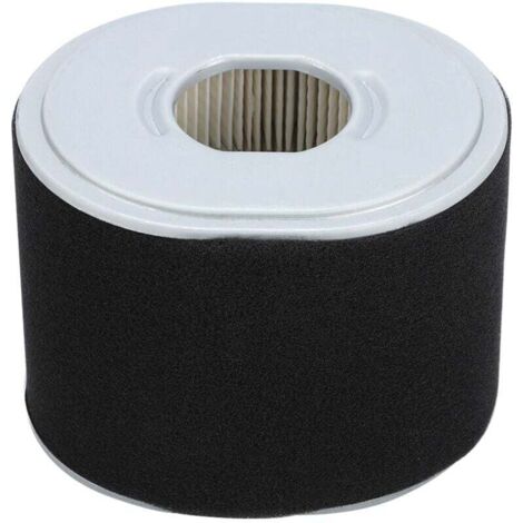 Filtre à Air Gx390 Filtre à Air Afze18 Filtre à Air Af Ze28 Moteur Gx390 Pièces de Nettoyeur Haute Pression Gx390 294, Accessoire de Remplacement de Filtre à Air pour Tondeuse à Gazon pour Mot (1/5)