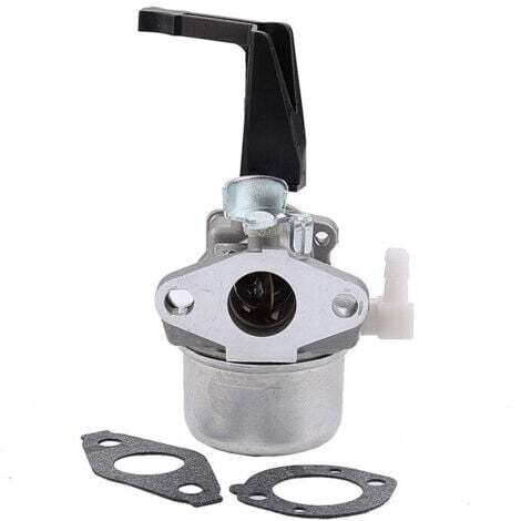696065 Carburateur de remplacement avec kit de joint pour Briggs & Stratton-- (1/4)