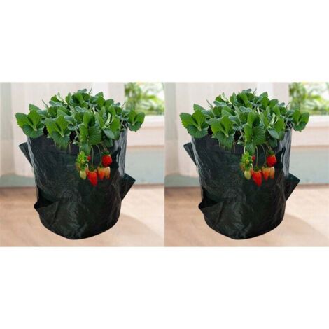 Sacs de Culture pour Fraise, 2PCS 18L/5 Gallons Sac de Legumes, Tissu Non-tissé Sac de Plantation avec Fenêtre, Sac de Legumes de Jardin (23X28CM (4 ports)) (1/5)