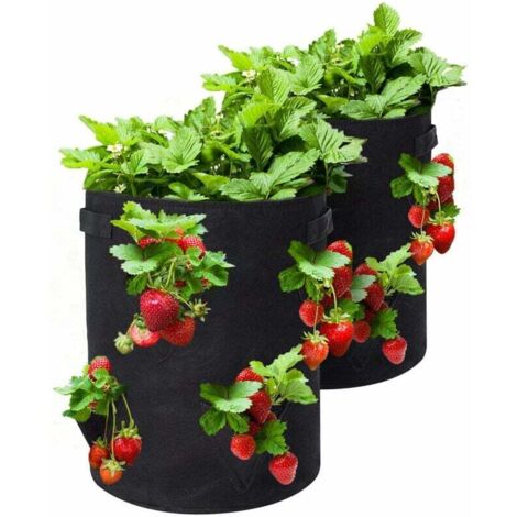 Sacs de Culture pour Fraise, 2PCS 18L/5Gallons Sac de Legumes, Tissu Non-tissé Sac de Plantation avec Fenêtre, Sac de Legumes de Jardin (noire)
