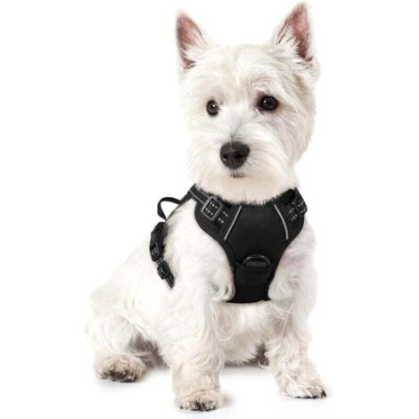 Harnais pour chien noir taille S poitrine 34-63 cm 1 pièce réglable rembourré gilet pour chien gilet en polyester pour animaux de compagnie (1/4)