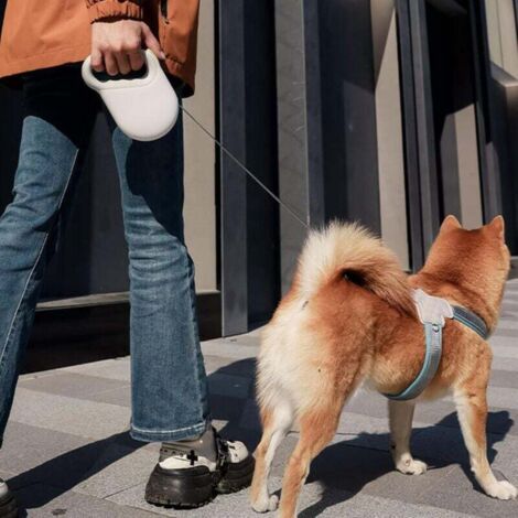 Alèses De Dressage Pour Chiens Lavables - Anti-Dérapant Imperméable - Protection Sol Et Hygiène - 3 Tailles