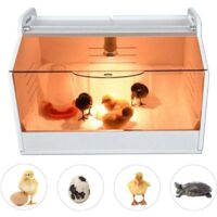 Caisse chauffante pour poussins 220 V entièrement automatique avec thermomètre et lampe chauffante pour poussin pour volaille, reptiles et petits animaux