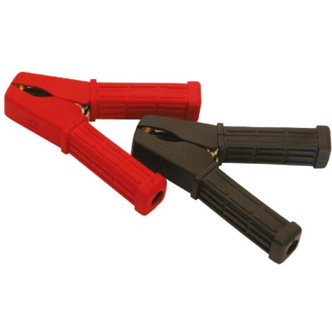 Pince pour batterie 100A 2pcs