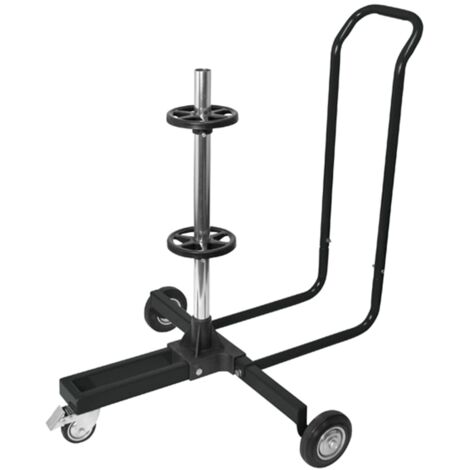Porte-pneu mobile avec housse Aluminium Noir Carpoint (1/5)