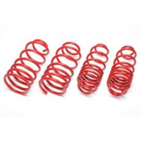 Ressorts Courts Fiat Punto 2012 a 2018 Jusqu a 1.4l 40/40mm-34022450