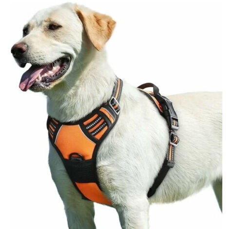 Harnais Anti Traction pour Chien, Harnais Anti Traction pour Chien Réfléchissant Réglable, Facile à Mettre, avec Poignée Contrôle, Arnet pour Chien Respirant, Durable, Harnais pour Chien Moyen et Gran