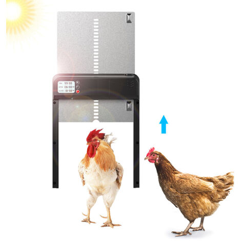Porte automatique de poulailler avec minuterie en alliage d'aluminium IP45 affichage LED étanche ouvre-porte automatique de poulet alimenté par batterie pour la ferme (1/6)
