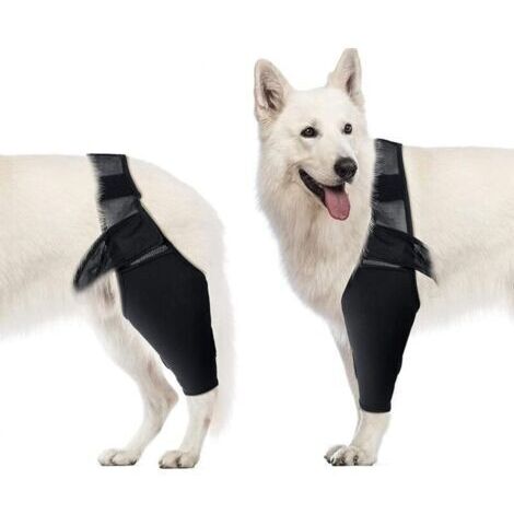[JAMAIS UTILISÉ]Coudière pour chien, genouillère de compression pour chien, coude et épaule, dysplasie, arthrite, luxation de l'épaule (XL) (1/4)