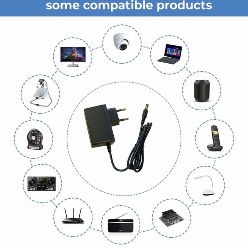 OcioDual Adaptateur Secteur 12V 1A, Connecteur DC 5,5 X 2,5 Mm, Noir, Prise Murale EU 2 Broches