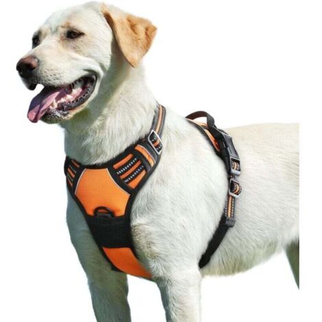 Harnais Chien, Harnais Anti Traction pour Chien Réfléchissant Réglable, Facile à Mettre, avec Poignée Contrôle, Arnet pour Chien Solide Respirant, Harnais pour Chien Moyen et Grand, Orange, L (1/4)