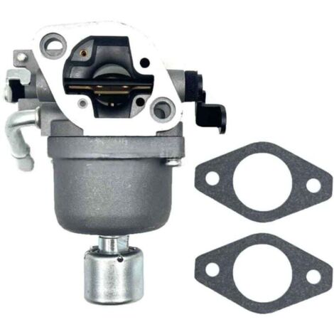 Carburateur de remplacement pour moto 697722, compatible avec Briggs & Stratton (1/4)