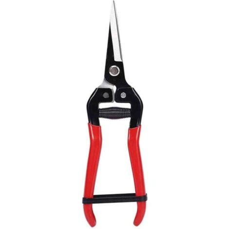 Santex Ruban Intissé Uni 10cm X 10m Gris