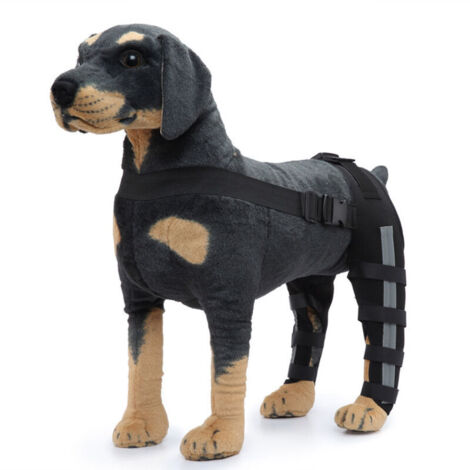 (taille S)Genouillère de chien de protection de jambe arrière double pour l'arthrite de luxation de la rotule maintient l'articulation au chaud soutien supplémentaire (1/4)