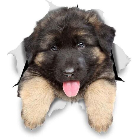 Autocollants Chiens Muraux 3D - Paquet de 2 - Stickers Berger Allemand Chiot Pour Mur - Frigo - Toilette - Salle - Voiture - Réfrigérateur11x12CM (1/4)