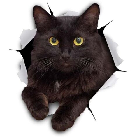 Autocollants Chat Muraux 3D - Paquet de 2 - Autocollants Décoratifs Drole – Stickers Siamois Chat Chaton Pour Mur - Frigo - Toilette - Salle 11 x 12CM (1/4)