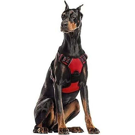 Harnais Chien XL Arnais Rouge Anti Traction Réfléchissant Gilet Réglable pour Chien Grand Taille, Attache Devant Crochet de Laisse pour Trajet Voiture, American Staff, Border Collier-Enlé (1/4)