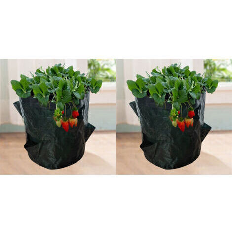 Sacs de Culture pour Fraise, 2PCS 18L/5 Gallons Sac de Legumes, Tissu Non-tissé Sac de Plantation avec Fenêtre, Sac de Legumes de Jardin (23X28CM (4 ports)) (1/5)
