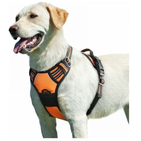 Orange, Harnais Chien, Harnais Anti Taraction pour Chien Réfléchissant Réglable, Facile à Mettre, avec Poignée Contrôle, Arnet pour Chien Respirant, Durable, Harnais pour Chien Moyen et Grand，L (1/5)
