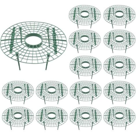 Lot de 15 supports pour plantes de fraises - évite la pourriture - Outil de culture de fraises (1/5)