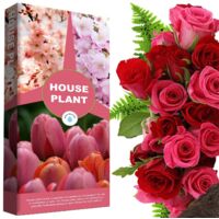 2 x 10L House Plant Compost Ideal For Indoor & Outdoor House Plants With Added Nutrients