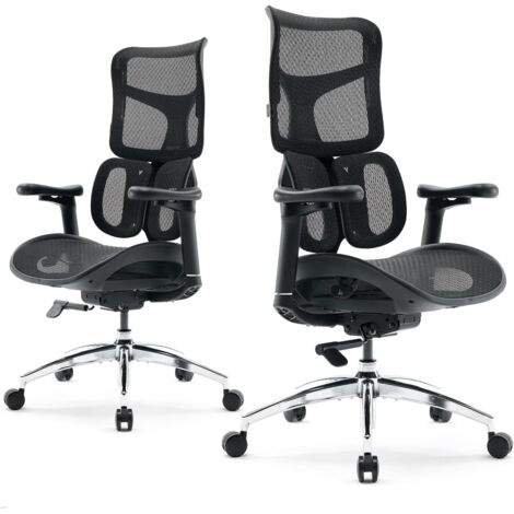 SIHOO ergonomischer Bürostuhl mit dualer dynamischer Lordosenstütze, Schreibtischstuhl mit 5-fach verstellbarer Rückenlehne, Bürostuhl mit 4D-koordinierten Armlehnen(S100 Schwarz)