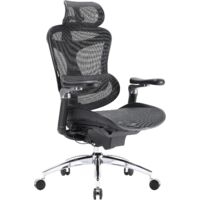 SIHOO Doro C300 Pro Ergonomischer Bürostuhl mit ultraweichen 6D-Armlehnen, dynamischer Lordosenstütze und Sitztiefenverstellung für das Home Office (Schwarz)