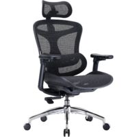 SIHOO Doro C300 Ergonomic Office Chair with Ultra Soft 3D Armrests, Dynamic Lumbar Support for Home Office, Adjustable Backrest Desk Chair (Black)